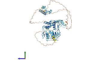 Protein Structure (PS) image for Zinc Finger Protein 354B (ZNF354B) (AA 1-612) protein (His tag) (ABIN7545421)