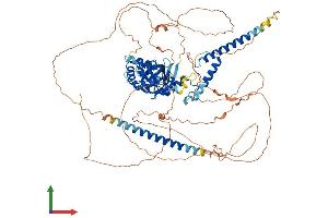 Protein Structure (PS) image for Clock Homolog (Mouse) (CLOCK) (AA 1-846) protein (His tag) (ABIN7553401)