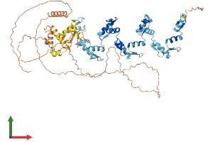 Protein Structure (PS) image for Zinc Finger Protein 175 (ZNF175) (AA 1-711) protein (His tag) (ABIN7545537)