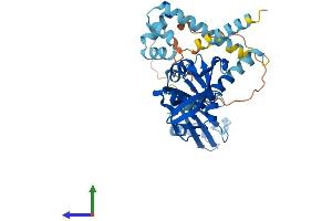 AlphaFold protein structure predicition of Human Recombinant DDI2 Protein, UniprotID Q5TDH0