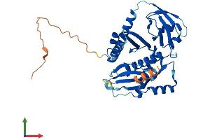 Protein Structure (PS) image for Mitochondrial Ribosomal Protein L39 (MRPL39) (AA 1-338) protein (His tag) (ABIN7551515)