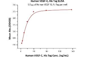 Immobilized Human VEGF R3, Fc Tag (ABIN5526635,ABIN5526636) at 5 μg/mL (100 μL/well) can bind Human VEGF-C, His Tag (ABIN2444233,ABIN2181912) with a linear range of 2-20 ng/mL (QC tested). (VEGFC Protein (AA 103-227) (His tag))