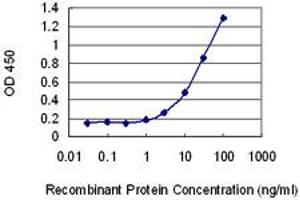 Detection limit for recombinant GST tagged ORC1L is 0. (ORC1 抗体  (AA 1-110))