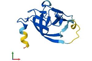 Protein Structure (PS) image for RAB Interacting Factor (RABIF) (AA 1-123) protein (His tag) (ABIN7560078)