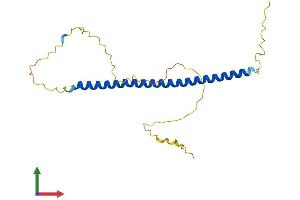 Protein Structure (PS) image for Biogenesis of Lysosomal Organelles Complex-1, Subunit 3 (BLOC1S3) (AA 1-202) protein (His tag) (ABIN7552809)