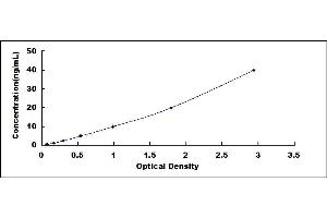 Typical standard curve (ENO2/NSE ELISA 试剂盒)