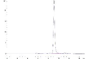 Size-exclusion chromatography-High Pressure Liquid Chromatography (SEC-HPLC) image for serpin Peptidase Inhibitor, Clade F (Alpha-2 Antiplasmin, Pigment Epithelium Derived Factor), Member 1 (SERPINF1) (AA 20-418) protein (His tag) (ABIN7275576)