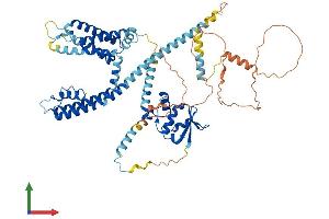 Protein Structure (PS) image for Potassium Voltage-Gated Channel, Shal-Related Subfamily, Member 2 (KCND2) (AA 1-630) protein (His tag) (ABIN7554323)