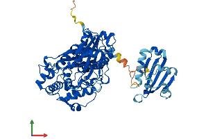 Protein Structure (PS) image for Sterol Carrier Protein 2 (SCP2) (AA 1-547) protein (His tag) (ABIN7549807)