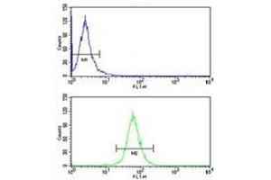 ABCG1 antibody flow cytometry analysis of HepG2 cells (bottom histogram) compared to a negative control (top histogram).