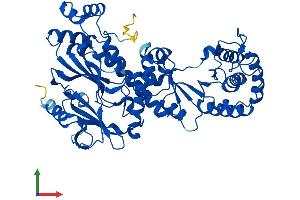 Protein Structure (PS) image for Nicotinate phosphoribosyltransferase (NAPRT) (AA 1-538) protein (His tag) (ABIN7559244)