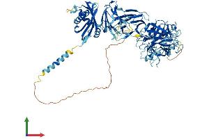 Protein Structure (PS) image for Transmembrane Protease, serine 6 (TMPRSS6) (AA 1-811) protein (His tag) (ABIN7565006)