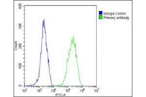 Overlay histogram showing HeLa cells stained with (ABIN390885 and ABIN2841096)(green line). (Calreticulin 抗体  (AA 277-305))