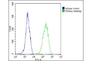 Overlay histogram showing HeLa cells stained with (ABIN390885 and ABIN2841096)(green line).