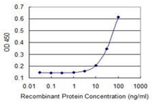 Detection limit for recombinant GST tagged FBXW4P1 is 3 ng/ml as a capture antibody. (FBXW4P1 抗体  (AA 31-130))