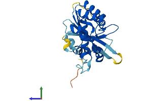 AlphaFold protein structure predicition of Human Recombinant APOBEC1 Protein, UniprotID P41238