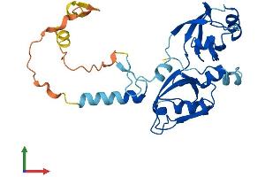 Protein Structure (PS) image for Syndecan Binding Protein (Syntenin) 2 (SDCBP2) (AA 1-292) protein (His tag) (ABIN7545913)