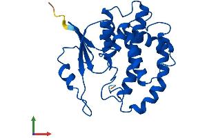 Protein Structure (PS) image for Glutathione S-Transferase mu 3 (Brain) (GSTM3) (AA 1-225) protein (His tag) (ABIN7548136)