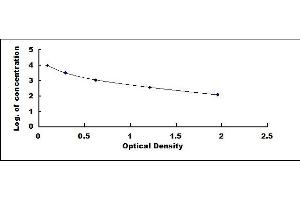 Typical standard curve (Trypsinogen Activation Peptide ELISA 试剂盒)