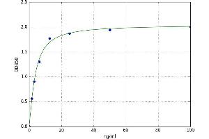Carnosine Dipeptidase 1 (Metallopeptidase M20 Family) (CNDP1) ELISA Kit