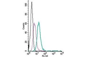 Cell surface detection of CXCR4 by direct flow cytometry in live intact mouse  microglia cells: + Rabbit IgG Isotype Control-FITC (ABIN7582044).