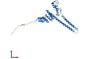 Protein Structure (PS) image for STIP1 Homology and U-Box Containing Protein 1 (STUB1) (AA 1-304) protein (His tag) (ABIN7565218)