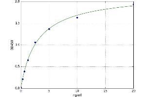 A typical standard curve (EDNRB ELISA 试剂盒)