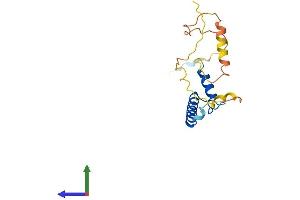 Protein Structure (PS) image for Inhibitor of DNA Binding 4, Dominant Negative Helix-Loop-Helix Protein (ID4) (AA 1-161) protein (His tag) (ABIN7563222)