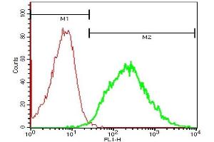 Flow Cytometry (FACS) image for anti-Interleukin 1 Receptor, Type II (IL1R2) (AA 301-398) antibody (ABIN747758)
