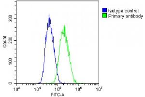Overlay histogram showing PC-3 cells stained with (ABIN6242412 and ABIN6578812)(green line). (IL-11 抗体  (AA 27-61))