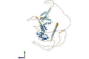 Protein Structure (PS) image for Mediator Complex Subunit 15 (MED15) (AA 1-788) protein (His tag) (ABIN7554508)