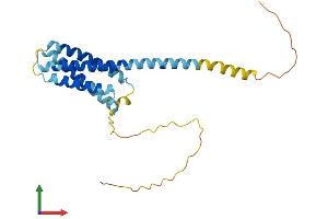 Protein Structure (PS) image for CKLF-Like MARVEL Transmembrane Domain Containing 4 (CMTM4) (AA 1-234) protein (His tag) (ABIN7546525)