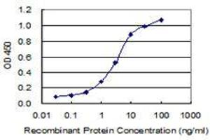 ELISA image for anti-Collagen, Type XXVI, alpha 1 (COL26A1) (AA 380-440) antibody (ABIN2565503)