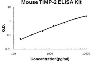 Mouse TIMP-2 Accusignal ELISA Kit Mouse TIMP-2 AccuSignal ELISA Kit standard curve.