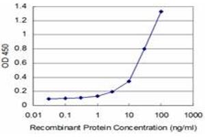 Detection limit for recombinant GST tagged STYK1 is approximately 1ng/ml as a capture antibody. (STYK1 抗体  (AA 50-159))