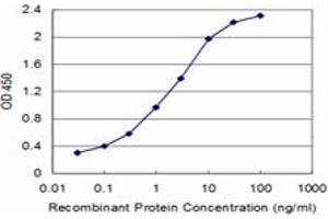 Detection limit for recombinant GST tagged SPAST is approximately 0. (Spastin 抗体  (AA 200-304))