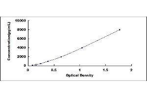 Typical standard curve (KPNA2 ELISA 试剂盒)