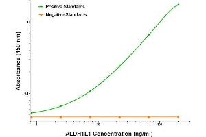 ELISA image for anti-Aldehyde Dehydrogenase 1 Family, Member L1 (ALDH1L1) antibody (ABIN2715903) (ALDH1L1 抗体)