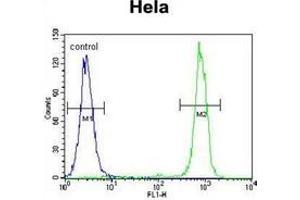 Flow Cytometry (FACS) image for anti-Carboxypeptidase B1 (Tissue) (CPB1) (AA 16-45), (N-Term) antibody (ABIN951034)