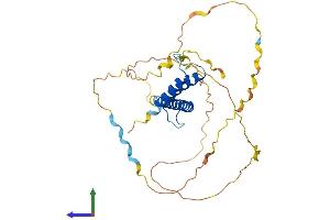 Protein Structure (PS) image for Atonal Homolog 8 (ATOH8) (AA 1-321) protein (His tag) (ABIN7552539)