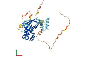 Protein Structure (PS) image for RAB40B, Member RAS Oncogene Family (RAB40B) (AA 1-278) protein (His tag) (ABIN7551235)