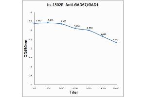 Antigen: 0. (GAD 抗体  (AA 455-594))