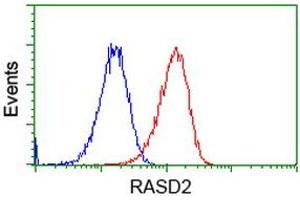 Flow cytometric Analysis of Hela cells, using anti-RASD2 antibody (ABIN2453588), (Red), compared to a nonspecific negative control antibody (TA50011), (Blue). (RASD2 抗体)