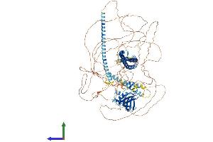 AlphaFold protein structure predicition of Mouse Recombinant Phldb2 Protein, UniprotID Q8K1N2
