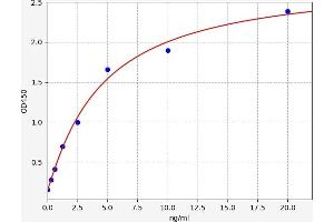 Typical standard curve (SALL2 ELISA 试剂盒)