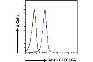 ABIN238572 Flow cytometric analysis of paraformaldehyde fixed A549 cells (blue line), permeabilized with 0. (CLEC16A 抗体  (Internal Region))