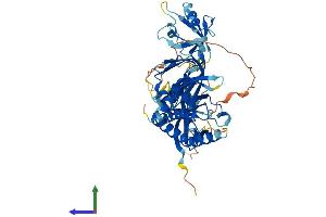 Protein Structure (PS) image for Syntrophin, alpha 1 (Dystrophin-Associated Protein A1, 59kDa, Acidic Component) (SNTA1) (AA 1-505) protein (His tag) (ABIN7546186)