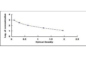 Typical standard curve (CGB ELISA 试剂盒)