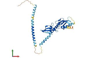 Protein Structure (PS) image for Centromere Protein O (CENPO) (AA 1-298) protein (His tag) (ABIN7559417)