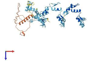 AlphaFold protein structure predicition of Human Recombinant ZNF730 Protein, UniprotID Q6ZMV8